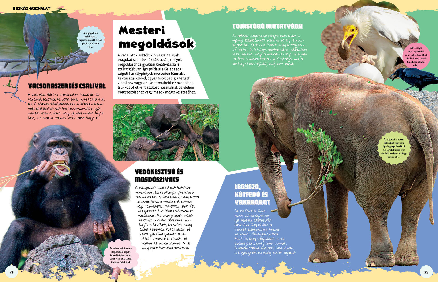 Ez állati! Trükkök és szuperképességek